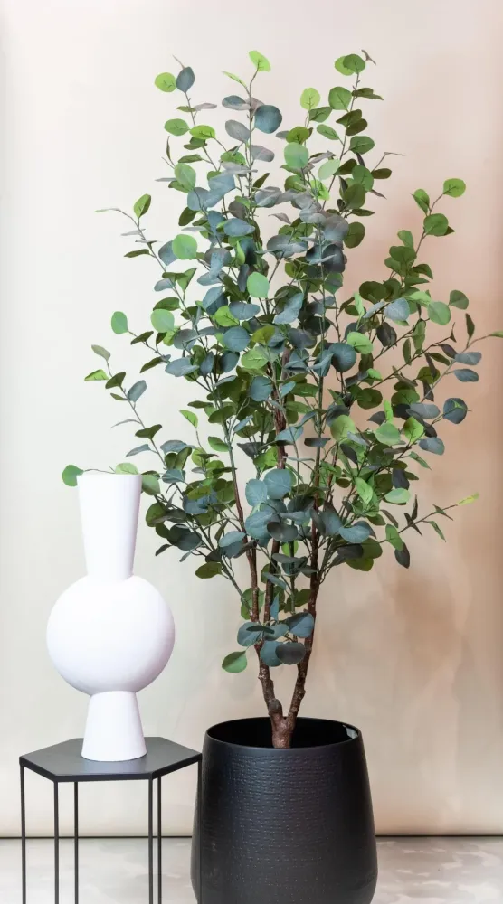 Pianta artificiale di eucalipto - h180cm, Ø17cm