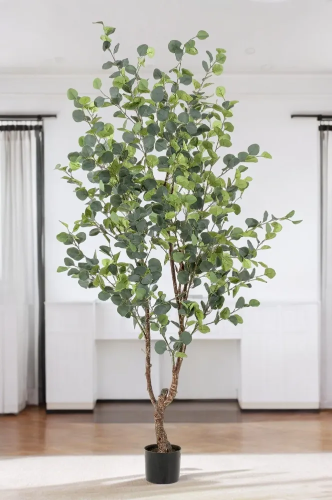 Pianta artificiale di eucalipto - h180cm, Ø17cm