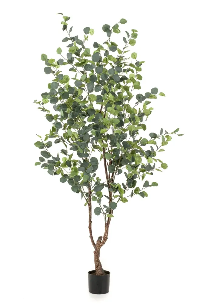 Pianta artificiale di eucalipto - h180cm, Ø17cm