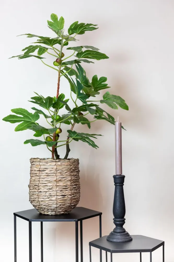 Pianta artificiale di fico h95cm, Ø12cm