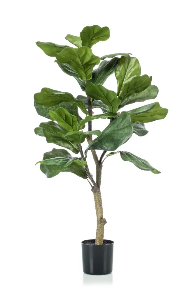 Pianta artificiale Ficus Lyrata - h100cm, Ø12cm