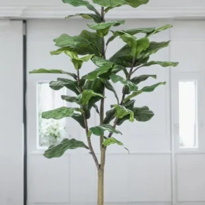 Pianta artificiale Ficus Lyrata h125cm, Ø14cm