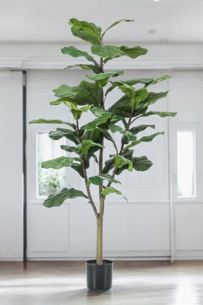 Pianta artificiale Ficus Lyrata h125cm, Ø14cm