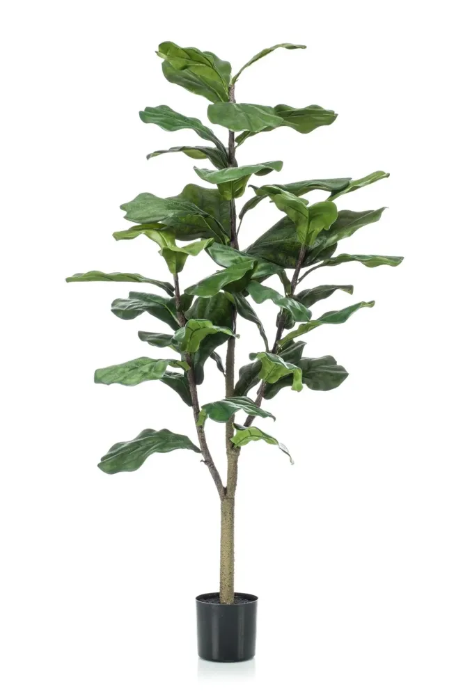 Pianta artificiale Ficus Lyrata h125cm, Ø14cm