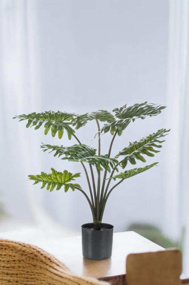 Pianta artificiale filodendro - h77cm, Ø12cm