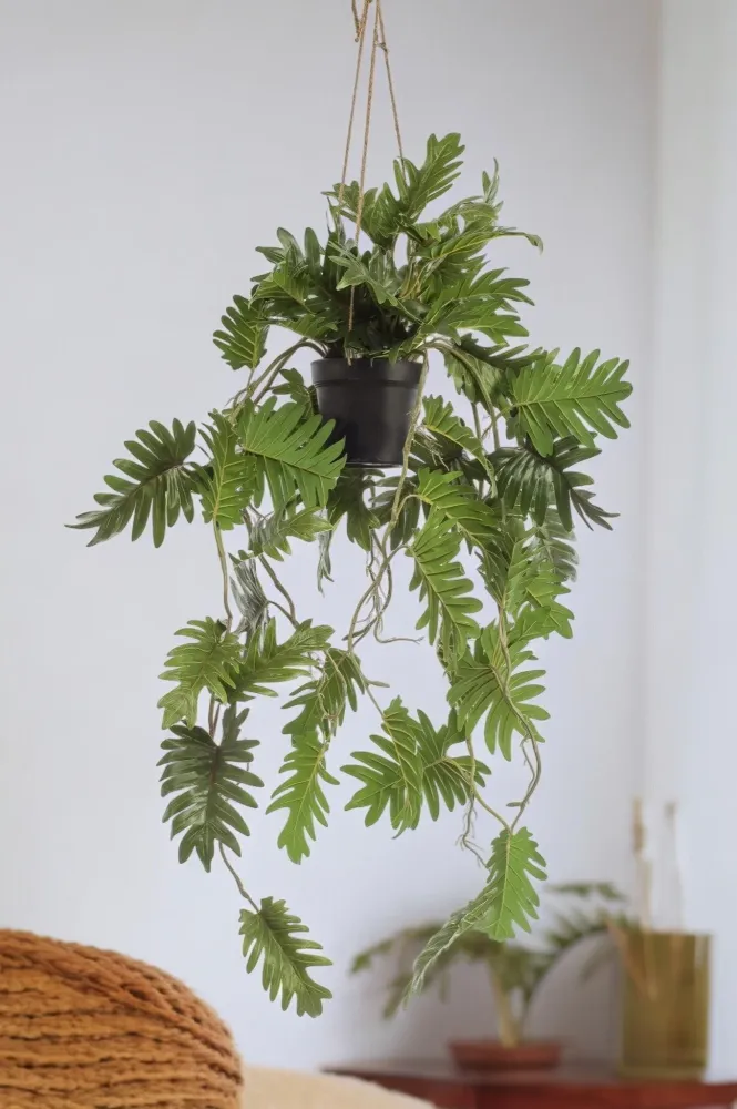 Pianta artificiale filodendro - h80cm, Ø18cm