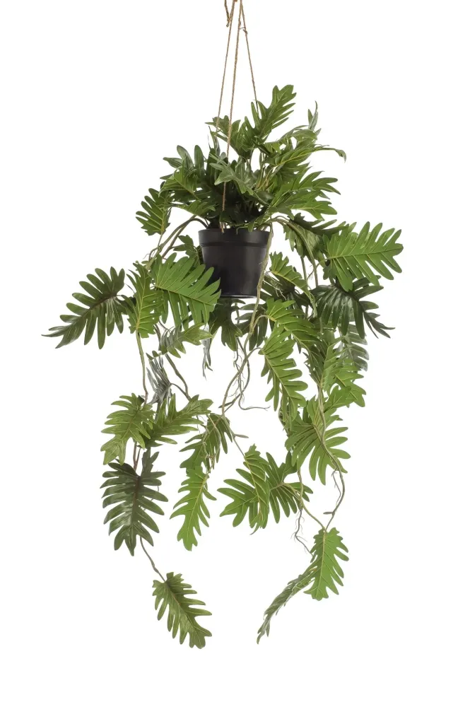 Pianta artificiale filodendro - h80cm, Ø18cm