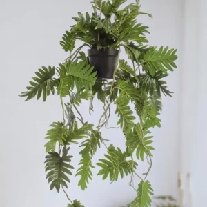 Pianta artificiale filodendro - h80cm, Ø18cm