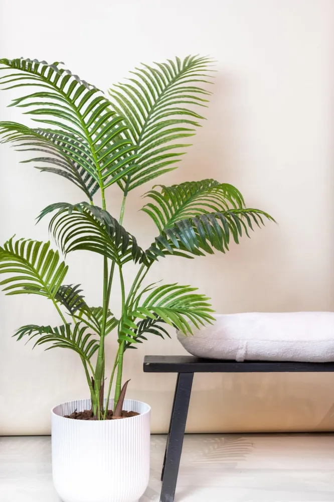 Pianta artificiale Howea Forsteriana - h140cm, Ø14cm