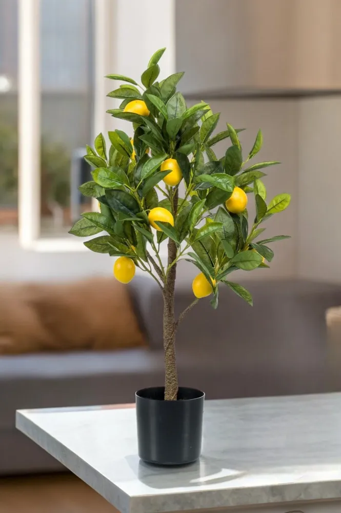 Pianta artificiale di limone - h72cm, Ø12cm