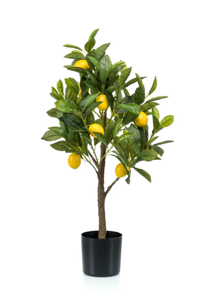 Pianta artificiale di limone - h72cm, Ø12cm