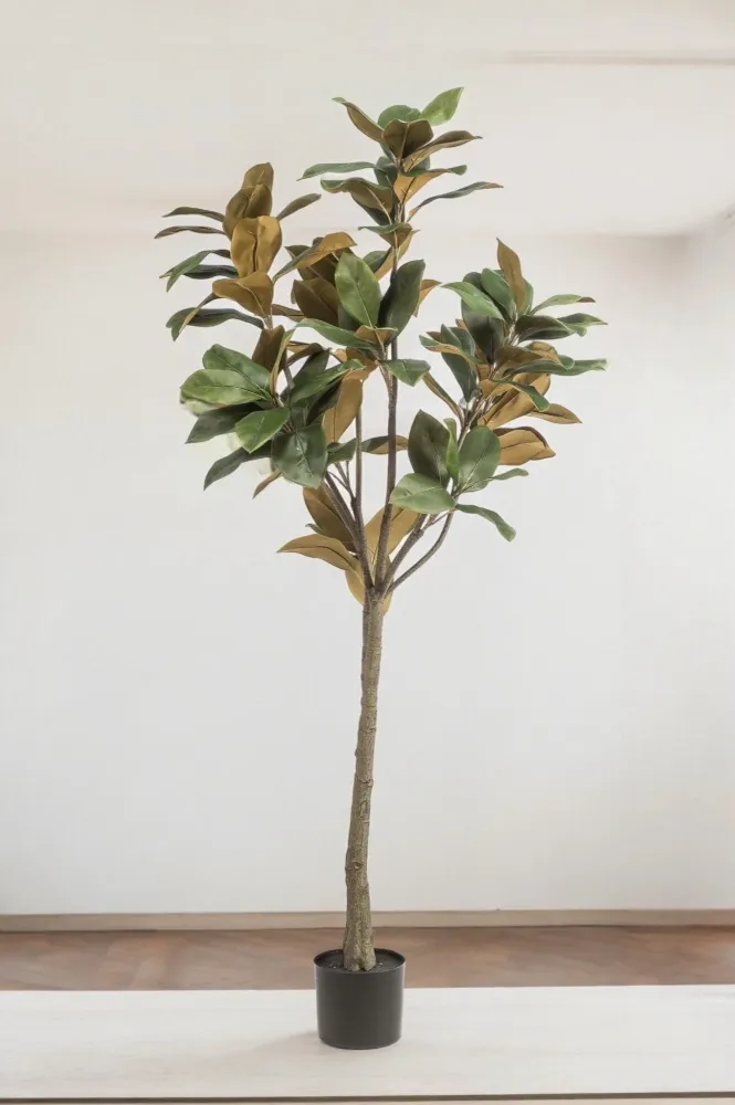 Pianta artificiale Magnolia Grandiflora - h150cm, Ø15cm