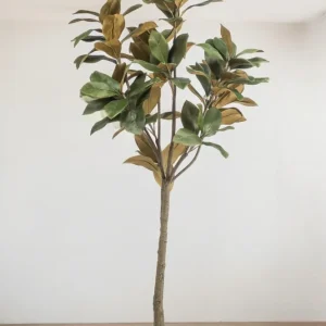 Pianta artificiale Magnolia Grandiflora - h150cm, Ø15cm