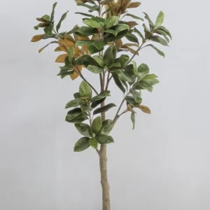 Pianta artificiale Magnolia Grandiflora - h180cm, Ø15cm