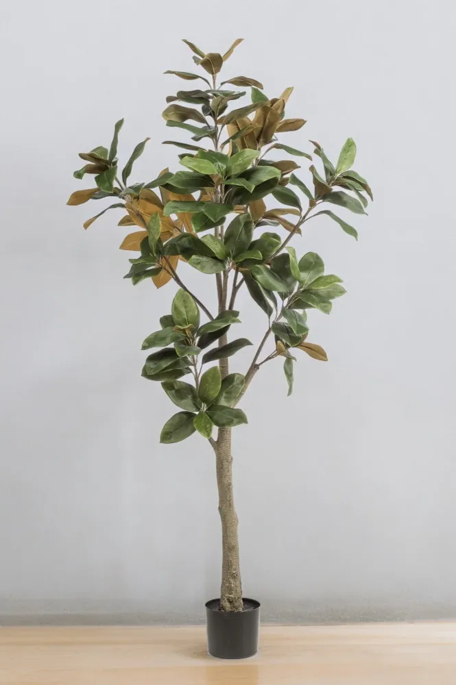 Pianta artificiale Magnolia Grandiflora - h180cm, Ø15cm