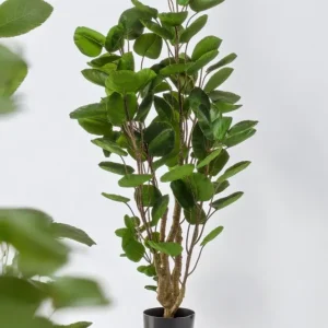 Pianta artificiale Polyscias Aralia - h105cm, Ø12cm