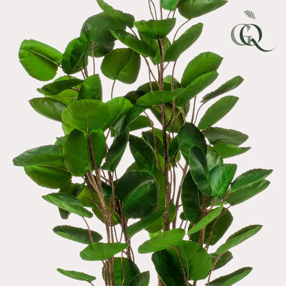 Pianta artificiale Polyscias Aralia - h105cm, Ø12cm