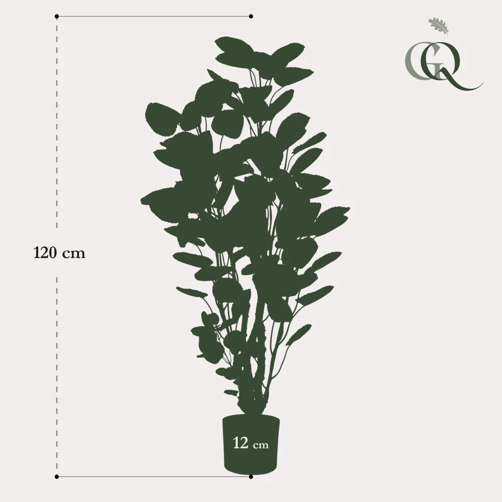 Pianta artificiale Polyscias Aralia - h105cm, Ø12cm