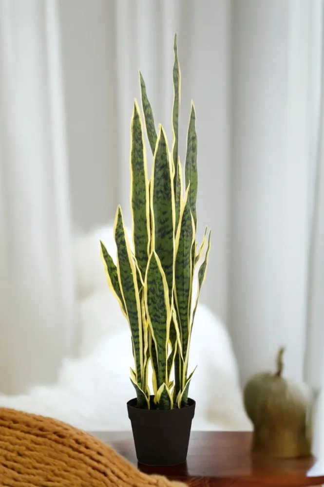 Pianta artificiale Sanseveria Trifasciata - h97cm, Ø12cm