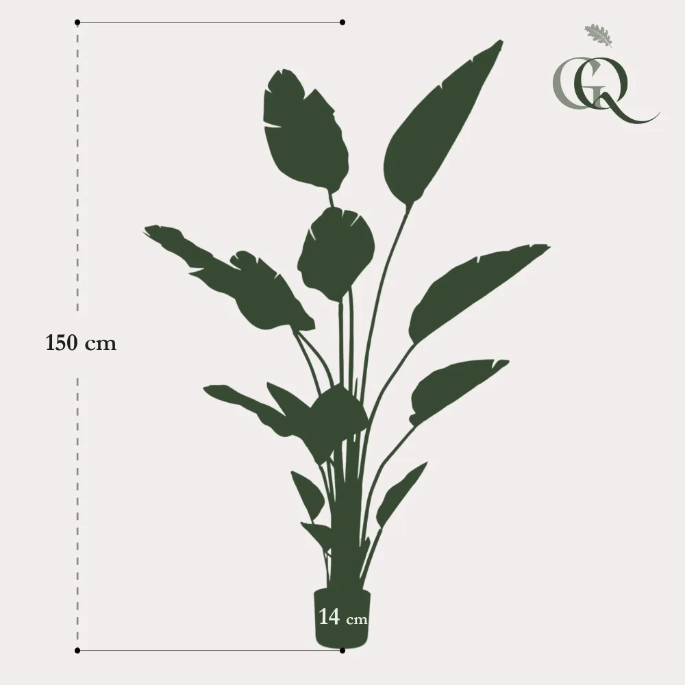 Pianta artificiale Strelitzia Nicolai - h150cm, Ø12cm