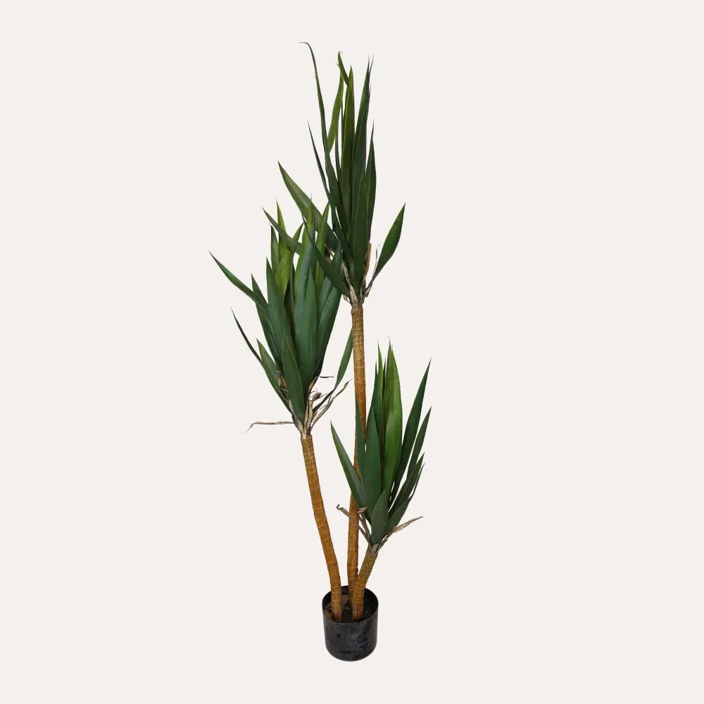 Pianta Artificiale Yucca Alta 150 cm