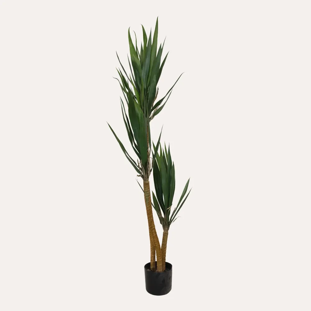 Pianta Artificiale Yucca Alta 150 cm