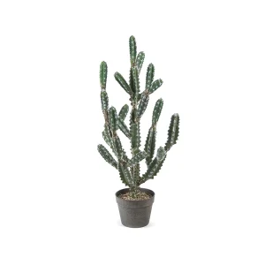PIANTA CACTUS CM84 VERDE