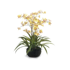 PIANTA CAMBRIA 3D C/ZOLLA CM66 GIALLO