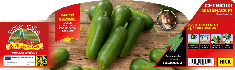 Pianta di Cetriolo Snack var. Espadana F1 - Orto Mio - Pronta al Trapianto