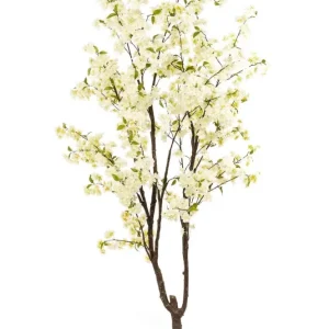 pianta Cherry blossom tree white 210cm/ ciliegio fiorito