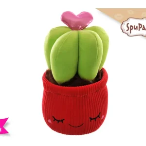 Pianta con cuore