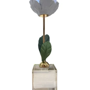 PIANTA PEONIA