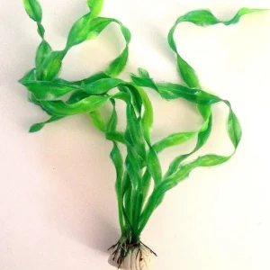 Pianta 30 Cm Piantina Artificiale Per Acquario Piante Finte Plastica Col. Verde