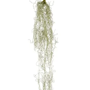 Pianta Tillandsia hanging 90cm cadente