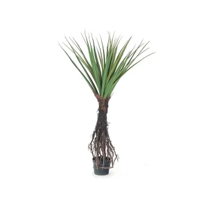 PIANTA VERDE YUCCA C/RADICI 162CM