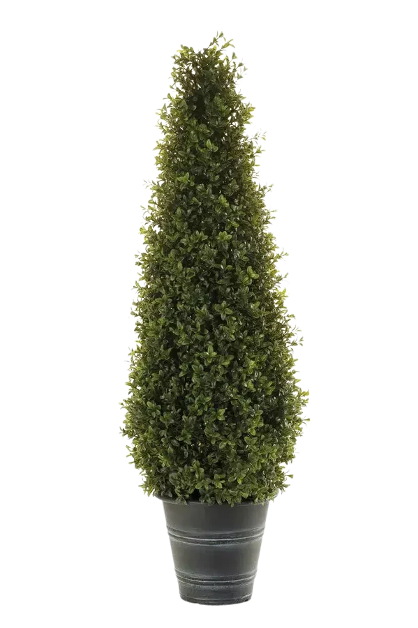 Piramide artificiale di bosso - Lucy | 165 cm
