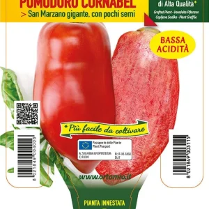 Pomodoro Corno delle Ande Cornabel F1 - 1 pianta innestata v.14 cm - Orto Mio