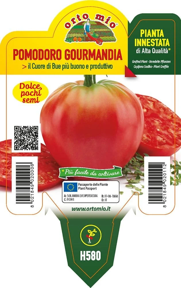 Pomodoro Cuor di Bue classico Gourmandia F1 - 1 pianta innestata v.10 cm - Orto Mio