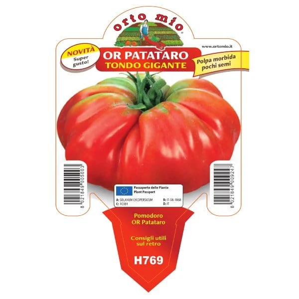 Pomodoro Gigante var. OR Patataro - 1 pianta v.10 cm - Orto Mio