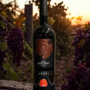 PRIMITIVO DON ANTONIO TRE BICCHIERI I.G.P. PUGLIA-2017