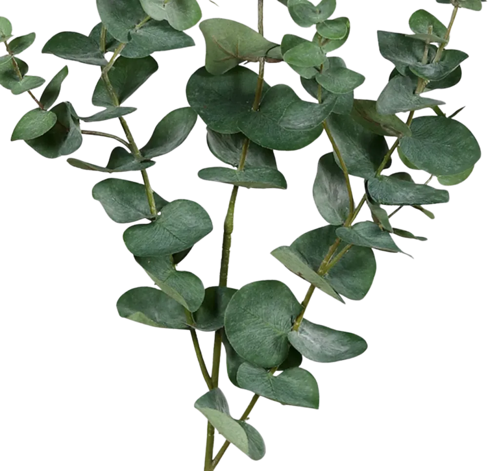 Ramo artificiale di eucalipto - Coca | 115 cm