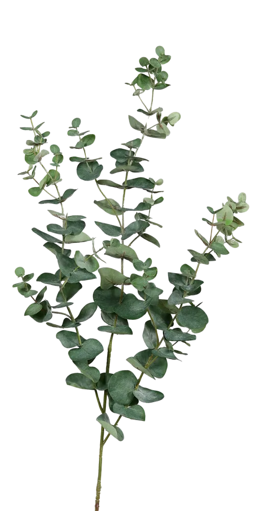 Ramo artificiale di eucalipto - Coca | 115 cm