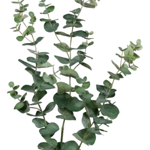 Ramo artificiale di eucalipto - Coca | 115 cm