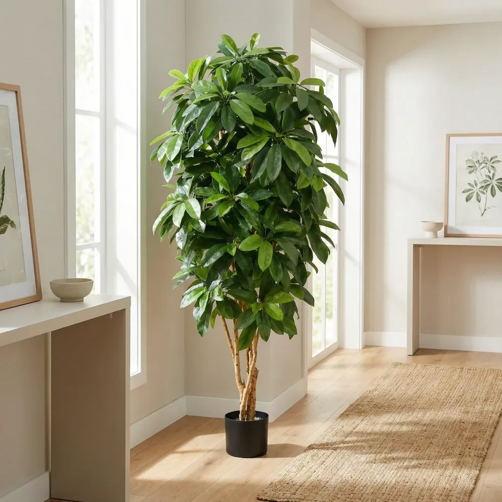 Schefflera artificiale - Ove | 172 cm