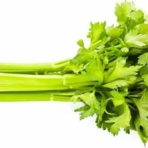 Semi di sedano d'elne ortaggio pianta per orti e giardini