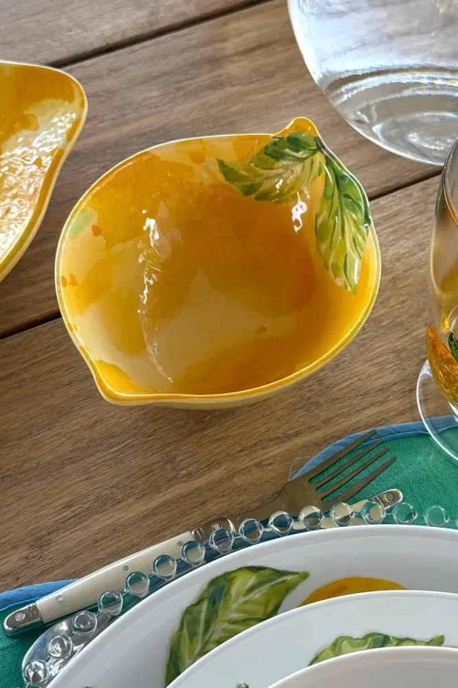 Servizio Completo di Stoviglie Melamina Limoni per 4 Persone