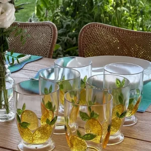 Set 6 Bicchieri Acrilico Design Limoni