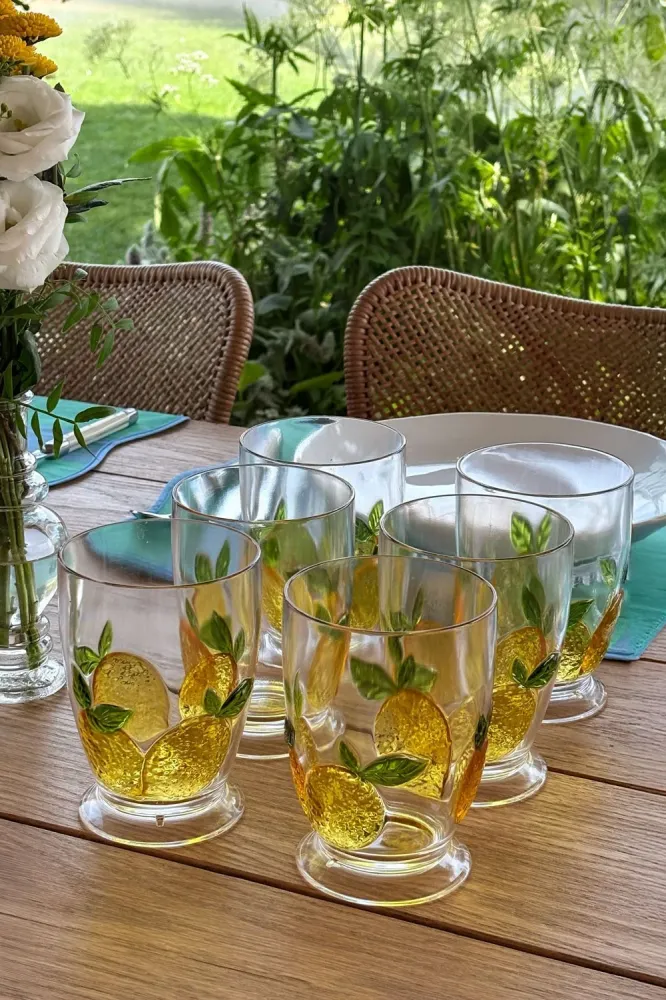Set 6 Bicchieri Acrilico Design Limoni