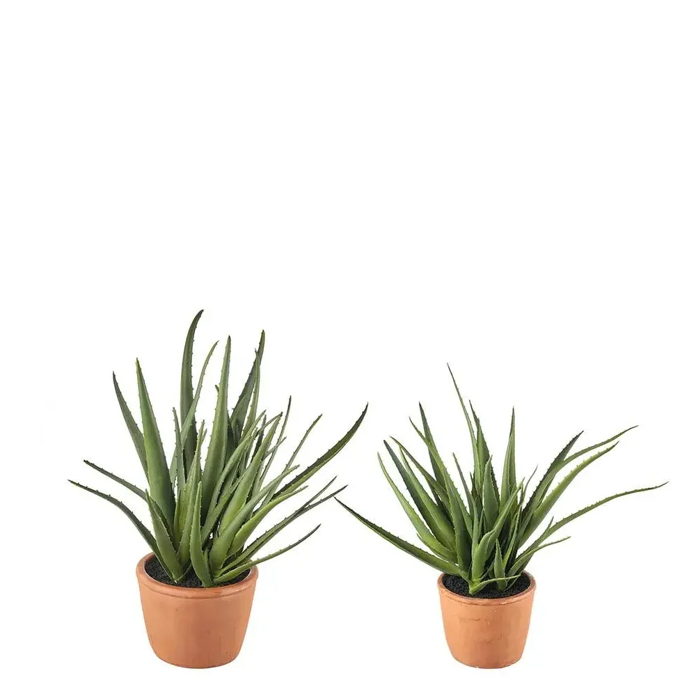 Set 2 Vasi Aloe Artificiale Stile Mediterraneo | L'Oca Nera