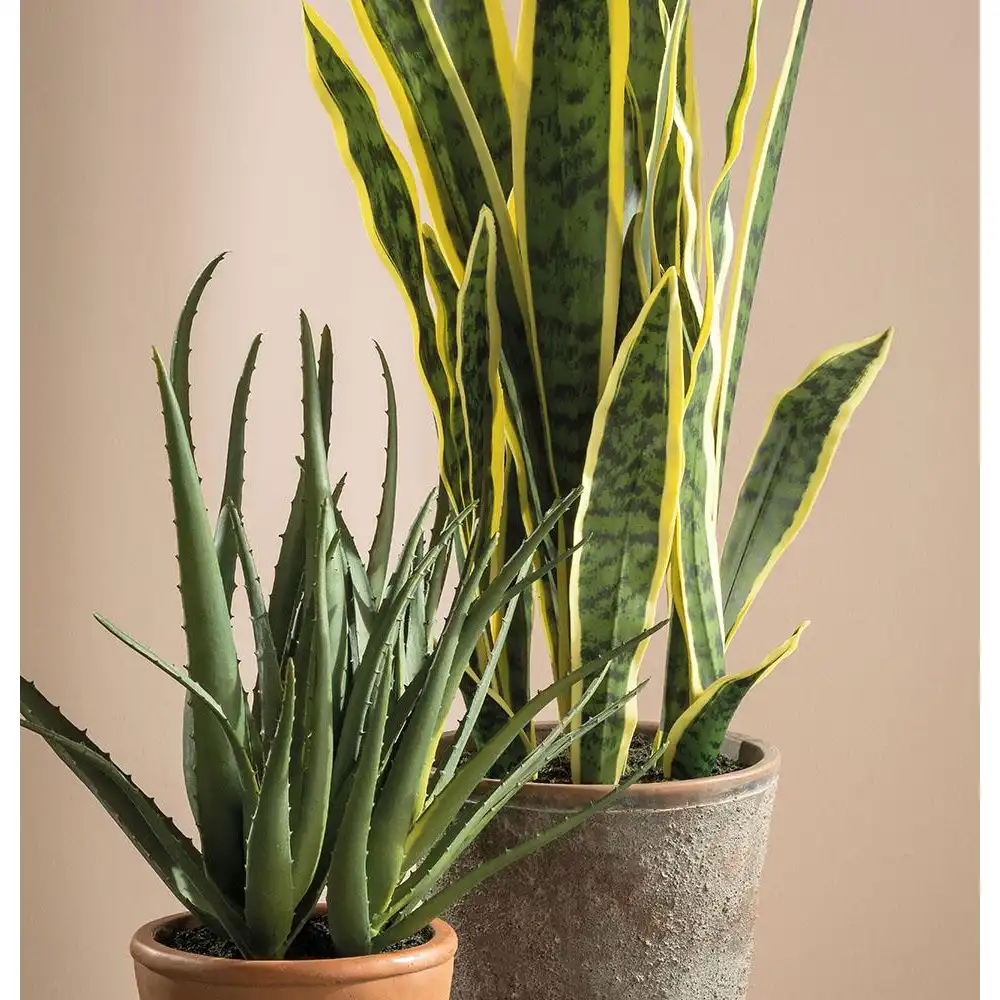 Set 2 Vasi Aloe Artificiale Stile Mediterraneo | L'Oca Nera